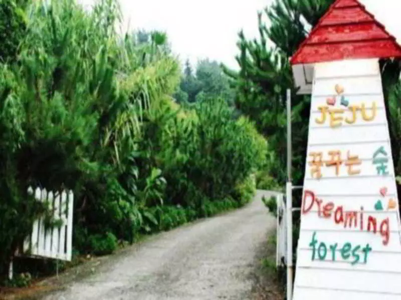 ホテル Dreaming Forest Pension