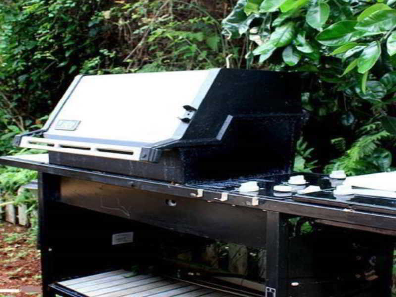 Hôtel Dreaming Forest Pension