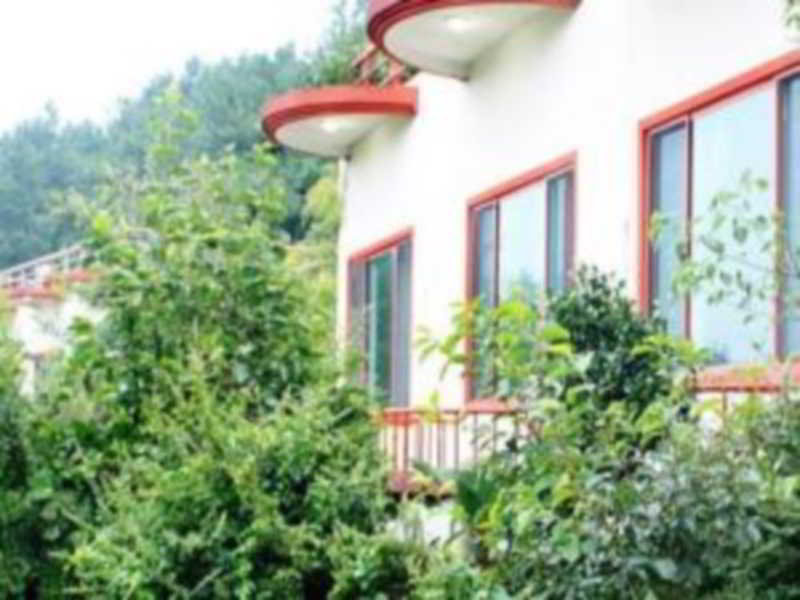 Hôtel Dreaming Forest Pension