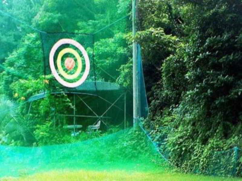 Hôtel Dreaming Forest Pension