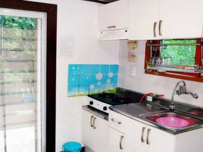 Hôtel Dreaming Forest Pension