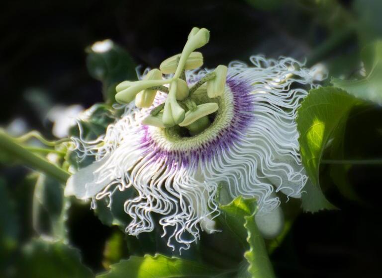 酒店 Elounda Heights