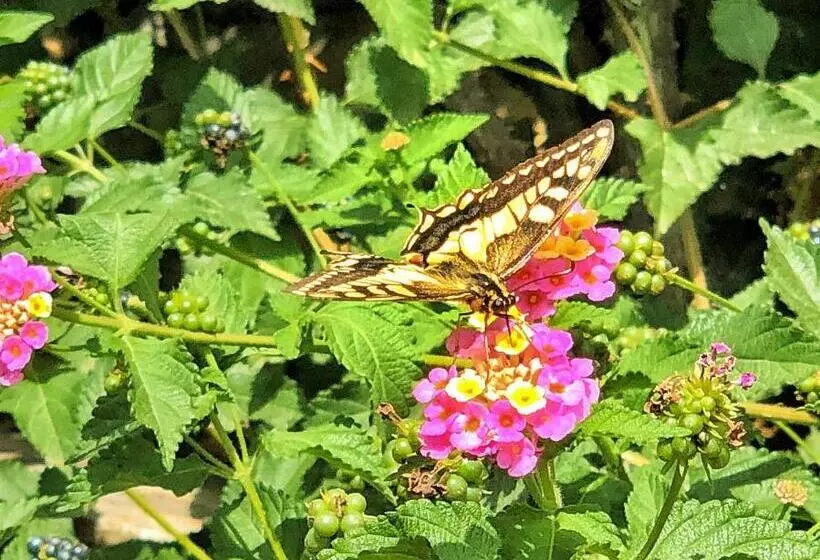 Szálloda Elounda Heights