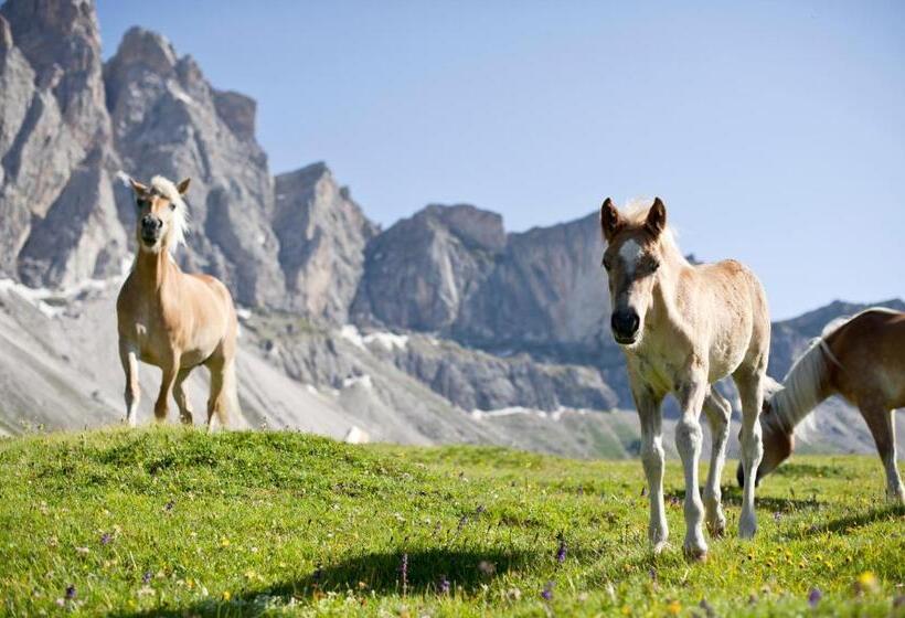 酒店 Kreuzberg Monte Croce