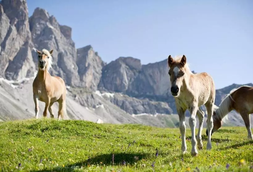 ホテル Kreuzberg Monte Croce