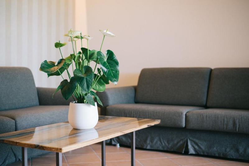 Palazzo Della Scala Spa Hotel Suites & Apartments