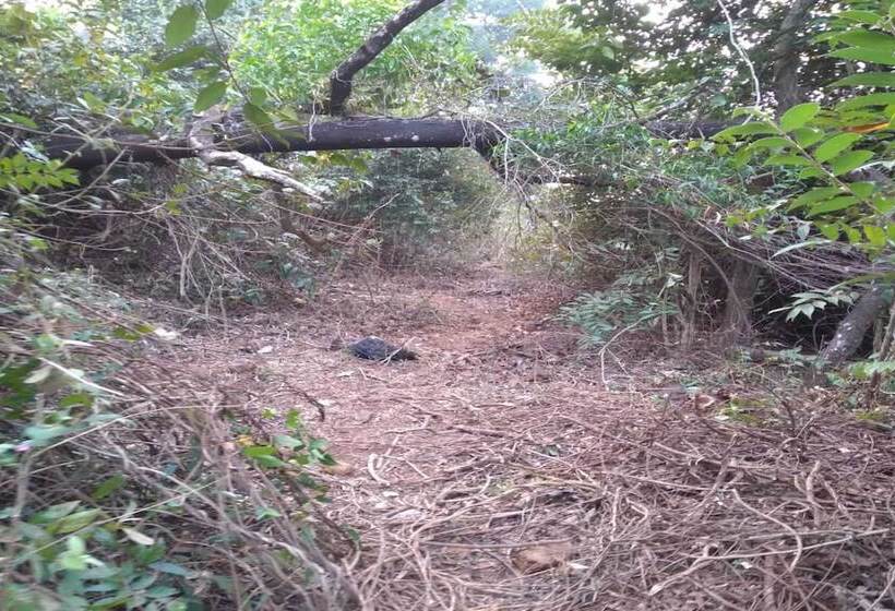 Hotelli Campistaan Kolad