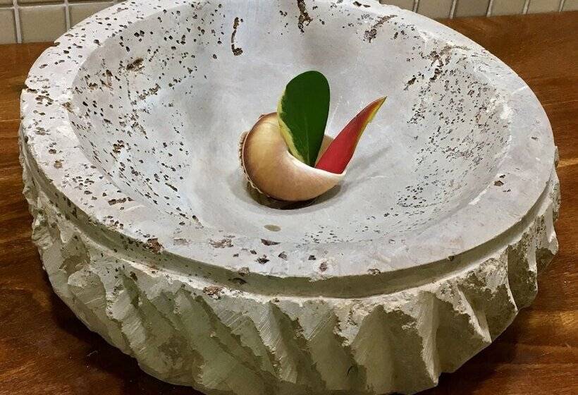 בית מלון כפרי Carapitangui Pousada