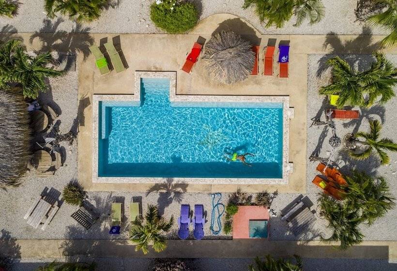 Отель Djambo Apartments   Adults Only