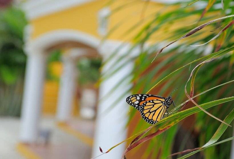 Отель Djambo Apartments   Adults Only