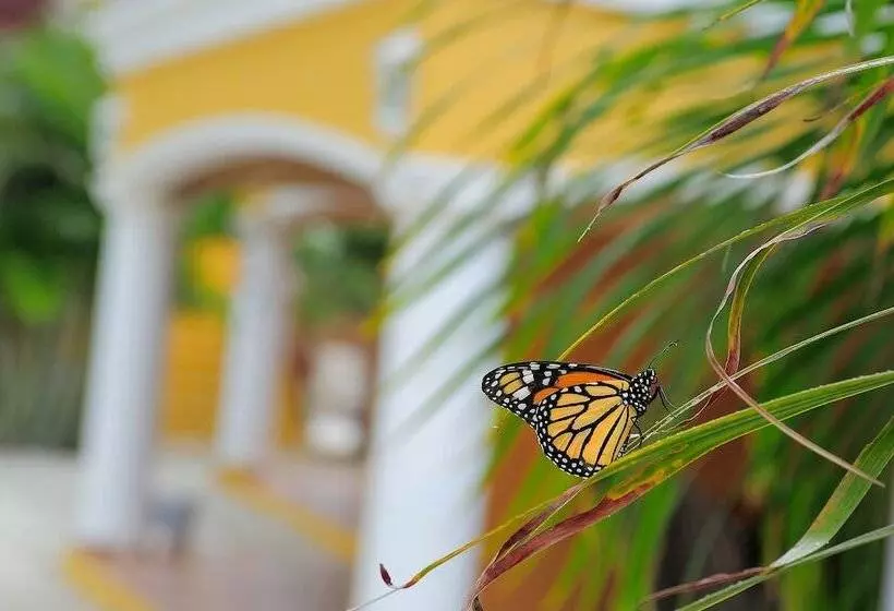 هتل Djambo Apartments   Adults Only