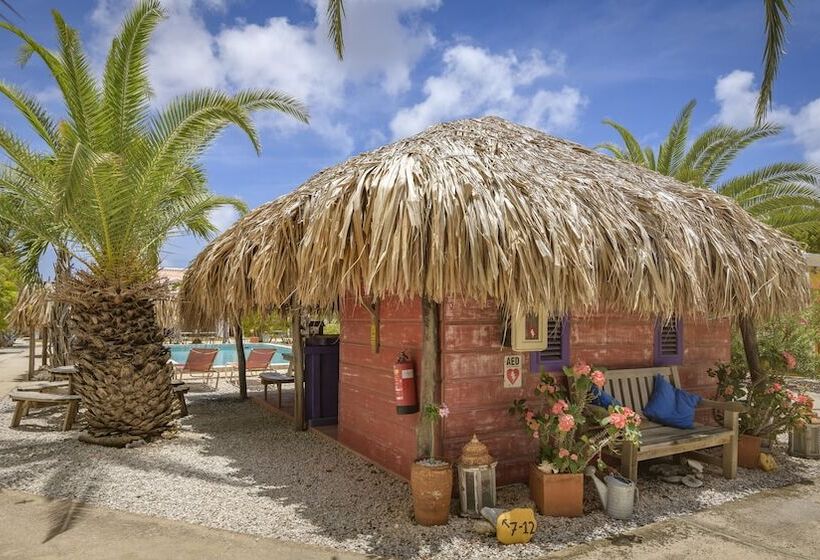 Отель Djambo Apartments   Adults Only