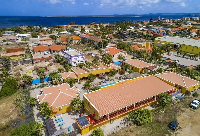 Отель Djambo Apartments   Adults Only