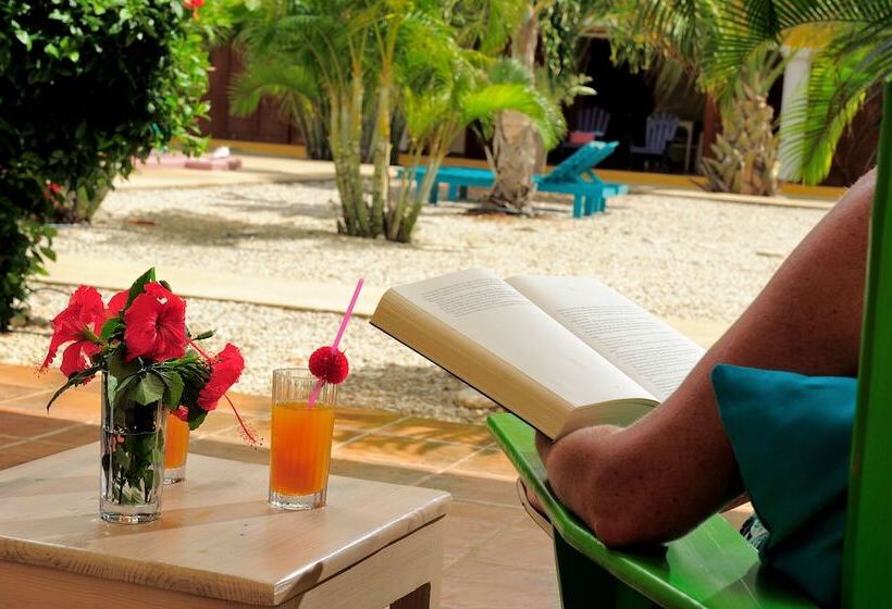 Отель Djambo Apartments   Adults Only