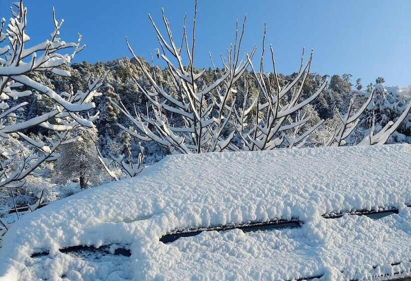 호텔 Himalayan High, Auli, By Himalayan Eco Lodges