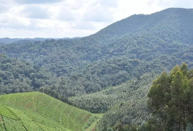 هتل Nyungwe Nziza Ecolodge