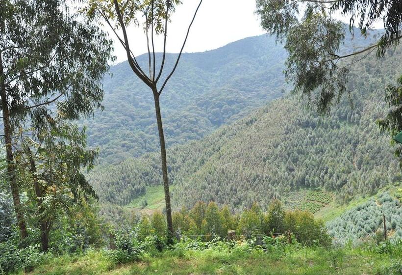 هتل Nyungwe Nziza Ecolodge