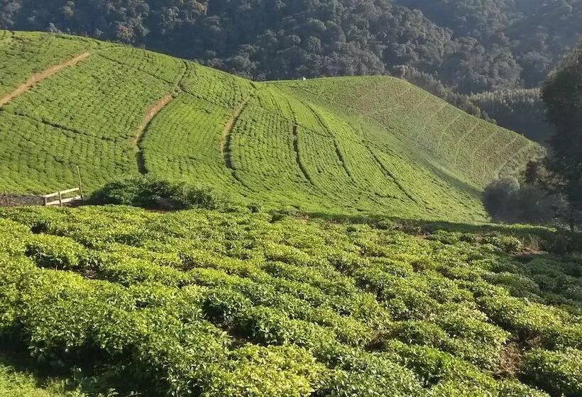 هتل Nyungwe Nziza Ecolodge