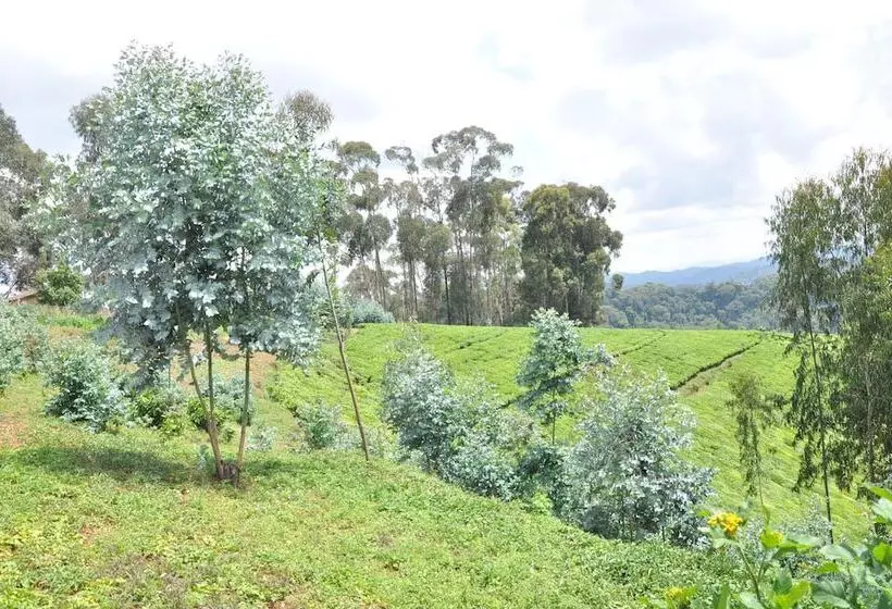 هتل Nyungwe Nziza Ecolodge