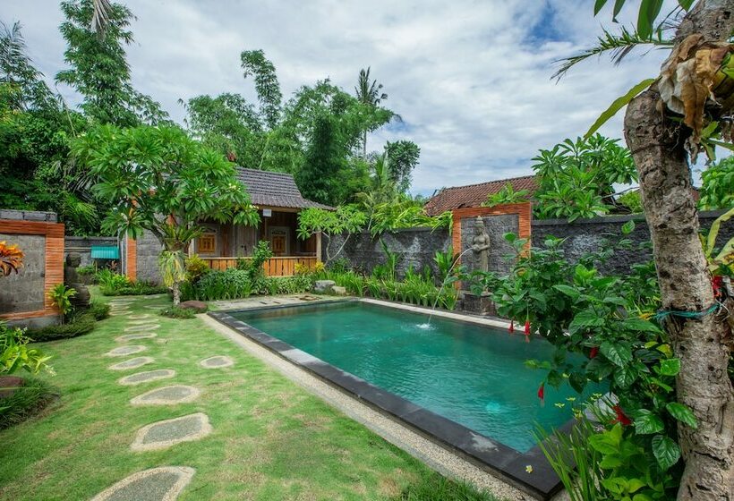 Pensione Puri Astrani By Wizzela