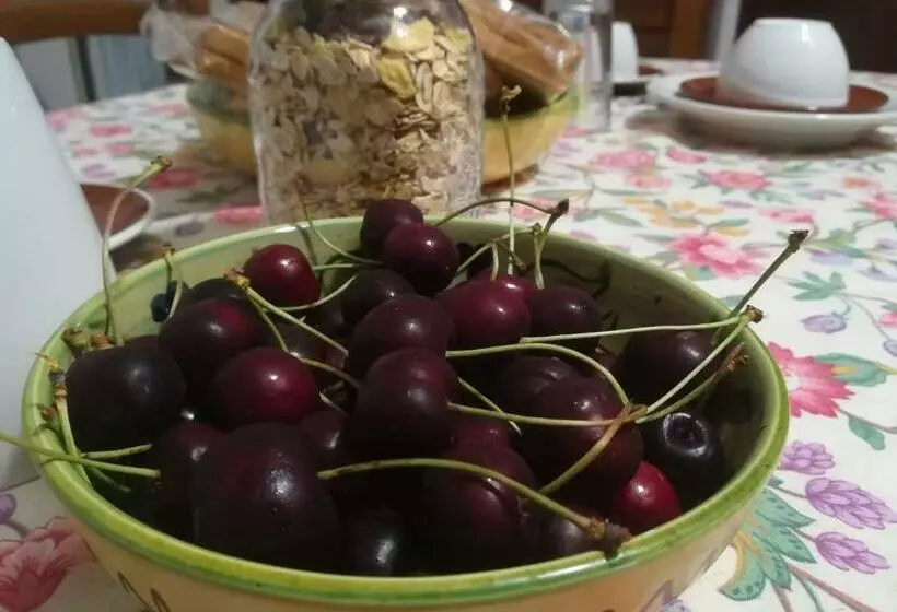 A Casa Di Carla B&b