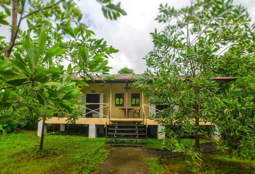 Отель Jenjon Wood County Phansad Alibaug