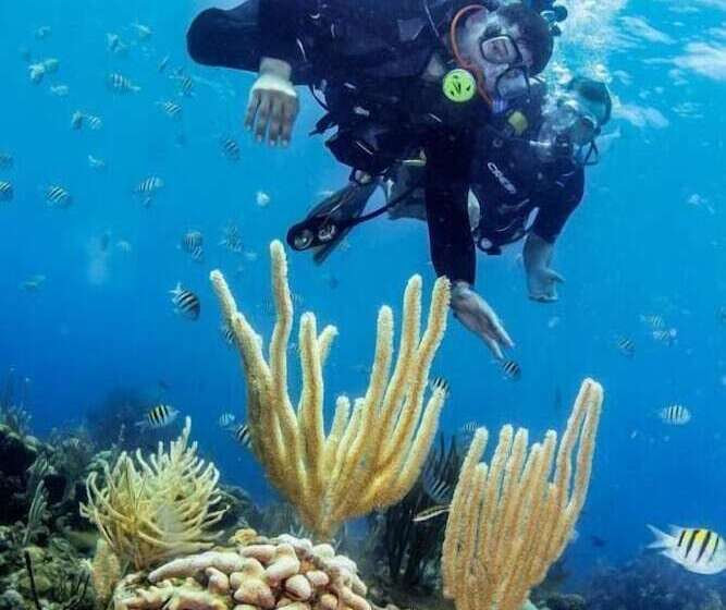 هتل La Placita Inn