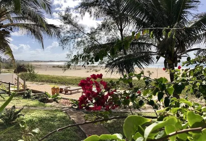 ホテル Liquid Dive Adventures