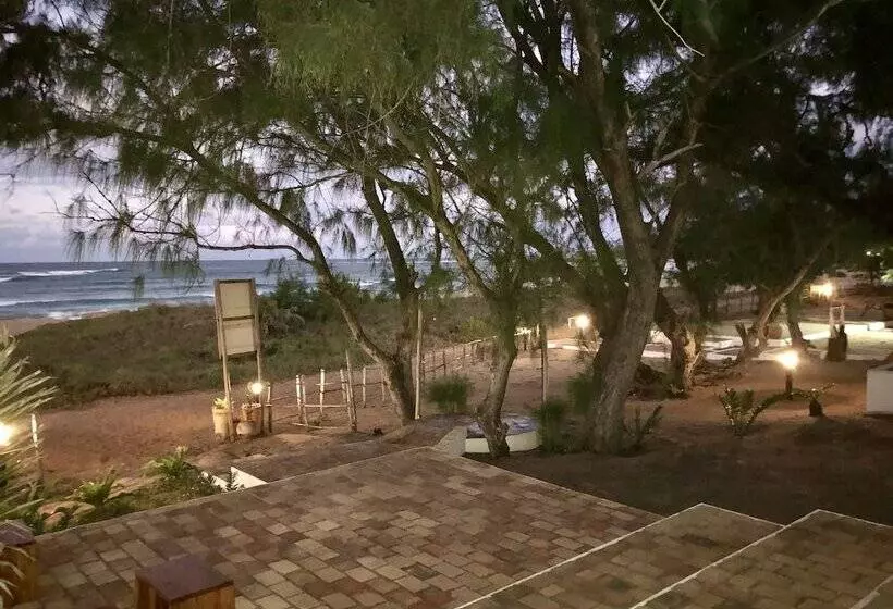 ホテル Liquid Dive Adventures