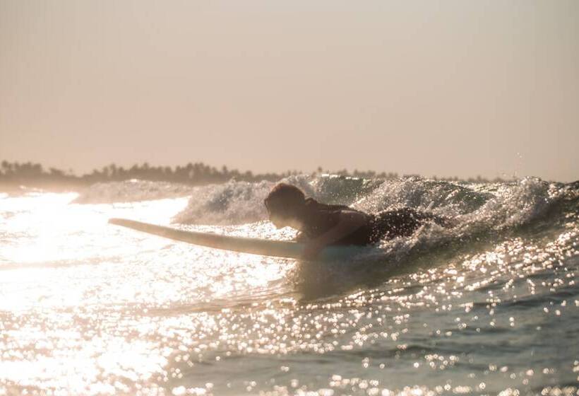 ホテル Liquid Dive Adventures