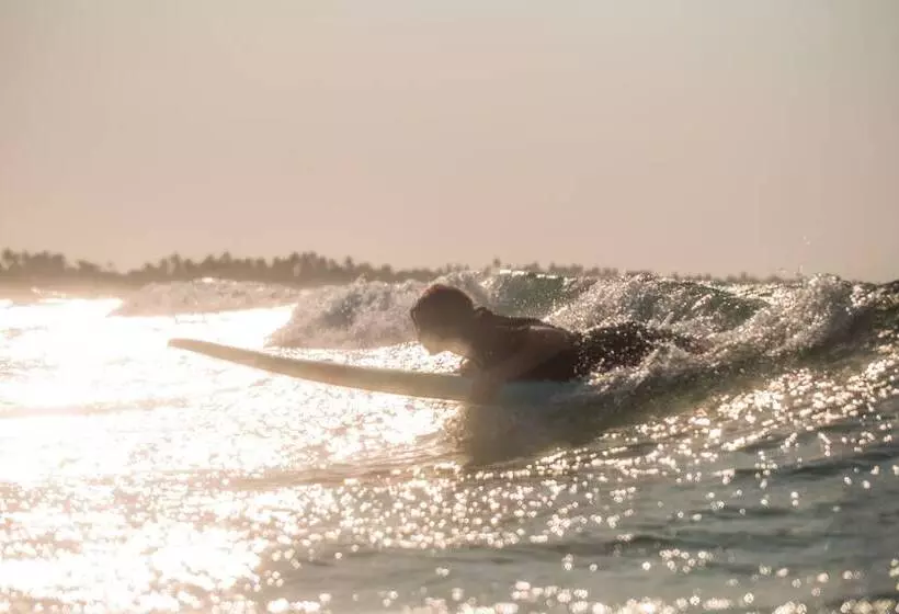 ホテル Liquid Dive Adventures