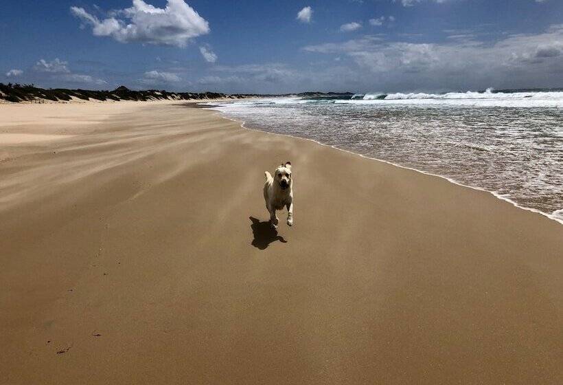 ホテル Liquid Dive Adventures