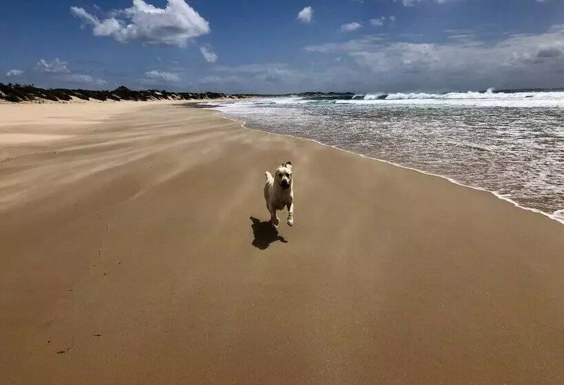 ホテル Liquid Dive Adventures