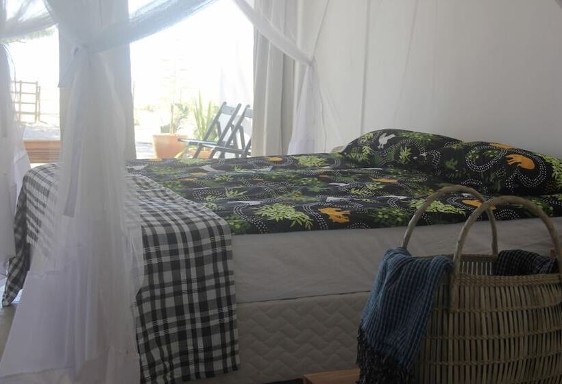 ホテル Liquid Dive Adventures