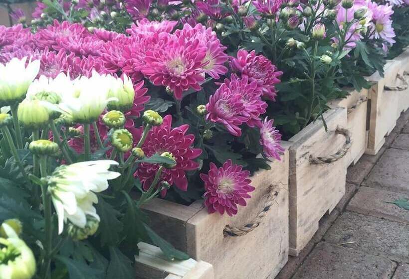 هتل Sandy's Creations Resort