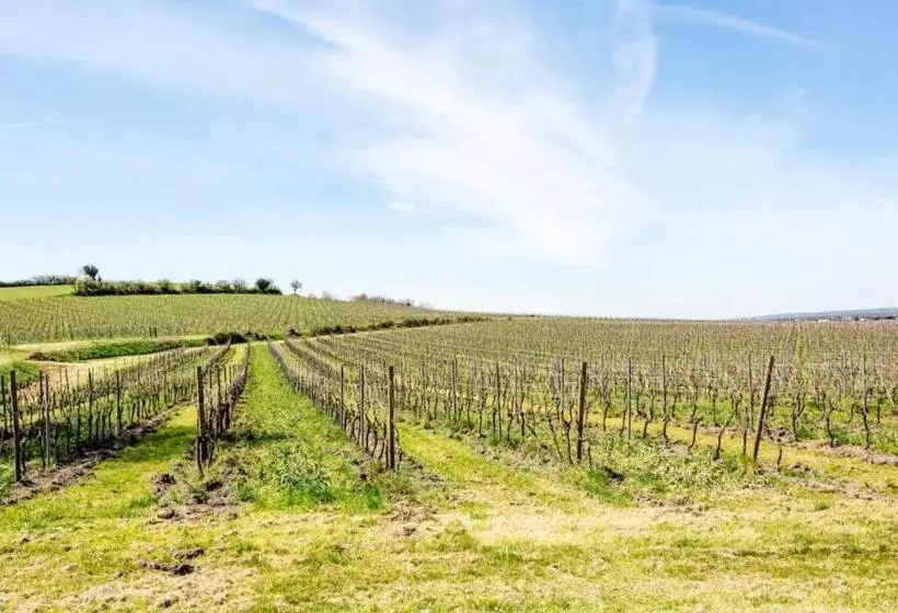 Aamiaismajoitus (B&B) Le Cœur Du Breuil