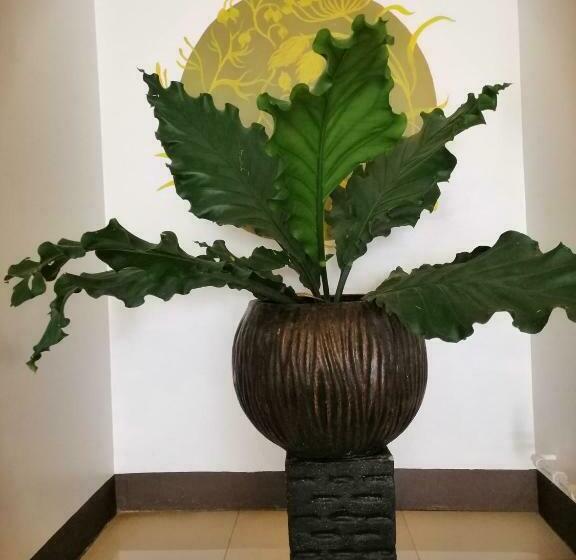 酒店 Amaranta Suites