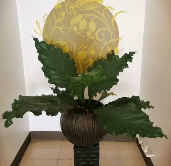 酒店 Amaranta Suites