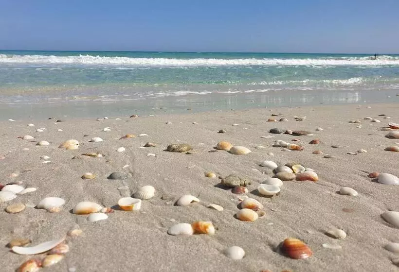 Mahdia   Baghdadi   Laourient Apartments, Restaurant, Café