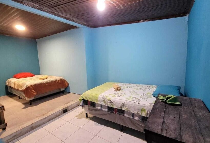 پانسیون Hostal Choja