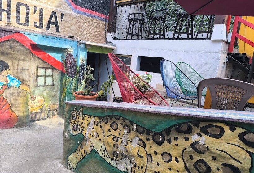 پانسیون Hostal Choja