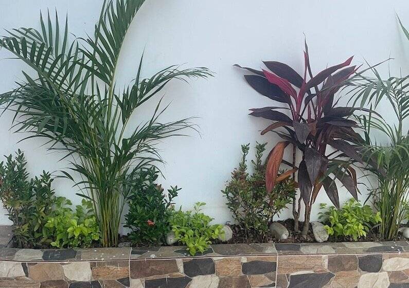 Pensionat Hostal Las Orquideas