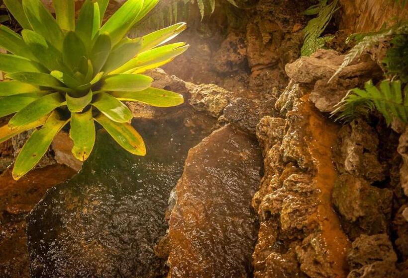 Orígenes Arcabuco Hotel Boutique