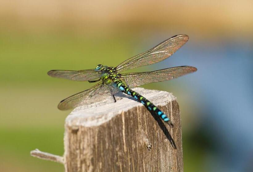 민박 Gestehof Hetzenberg