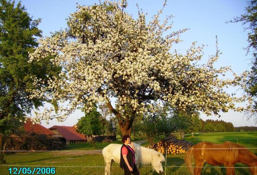 민박 Gestehof Hetzenberg