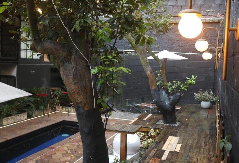 پانسیون Fardo Hotel Boutique En Ibague Zona G Recepción Digital 24h