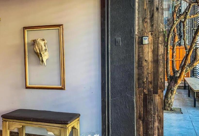 پانسیون Fardo Hotel Boutique En Ibague Zona G Recepción Digital 24h