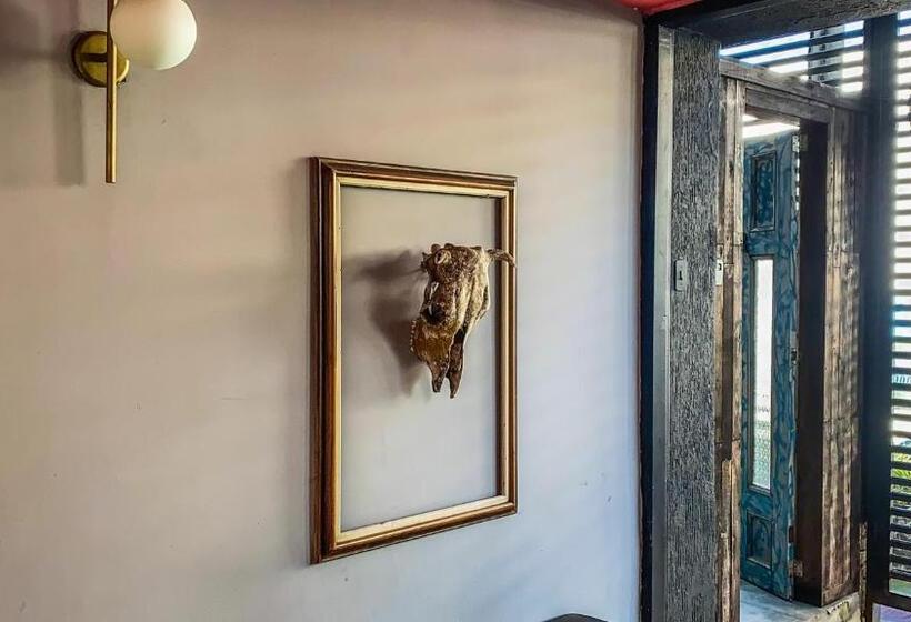 پانسیون Fardo Hotel Boutique En Ibague Zona G Recepción Digital 24h