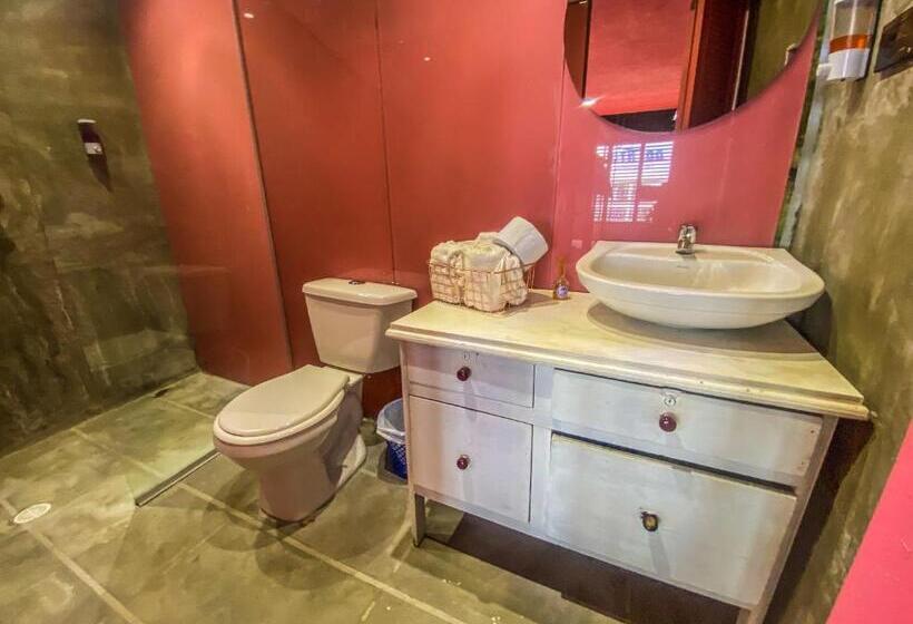 پانسیون Fardo Hotel Boutique En Ibague Zona G Recepción Digital 24h