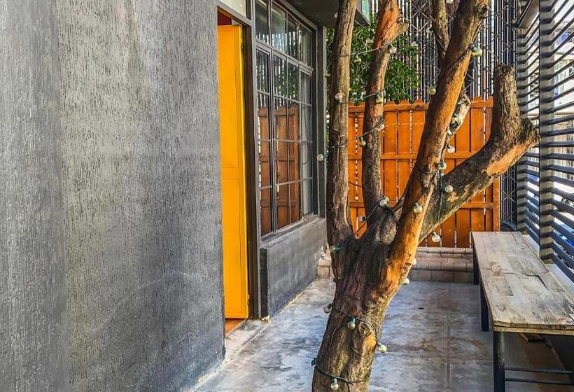 پانسیون Fardo Hotel Boutique En Ibague Zona G Recepción Digital 24h